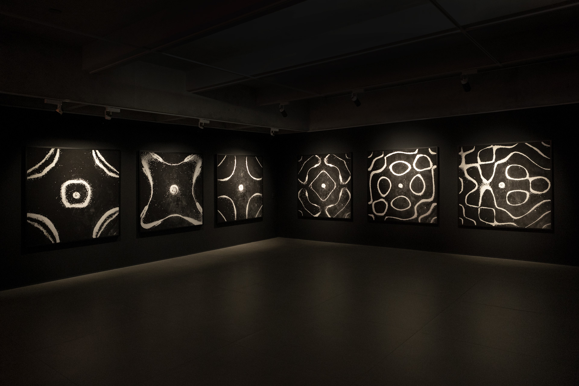 Fotografia de ondas sonoras da série Desenho Sonoro de Felippe Moraes na exposição Solfejo exposições