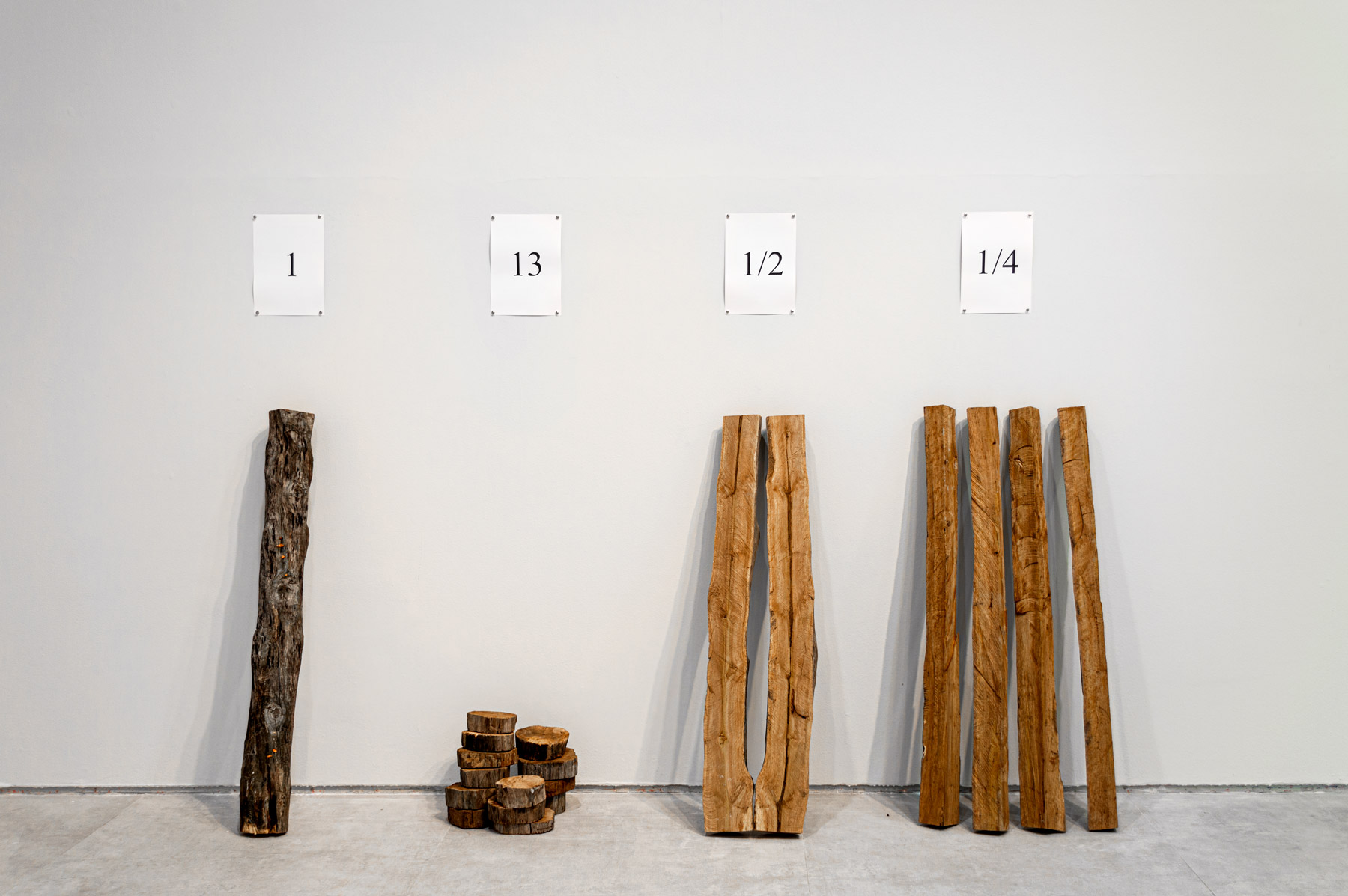 Divisão (2011), obra de Felippe Moraes composta por papel e troncos de madeira que investigam relações entre medida, geometria e território.