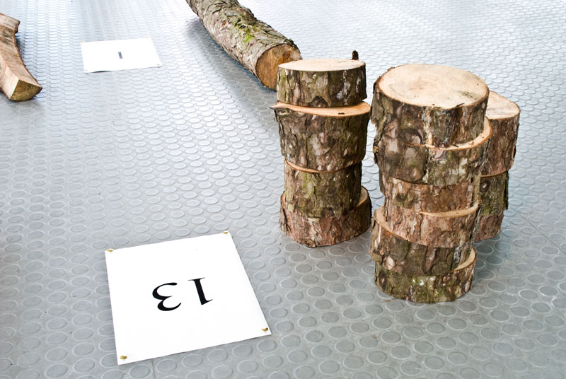 Troncos de árvore cortados e organizados na obra Divisão de Felippe Moraes.