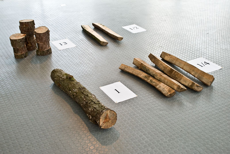 Troncos de árvore cortados e organizados na obra Divisão de Felippe Moraes.