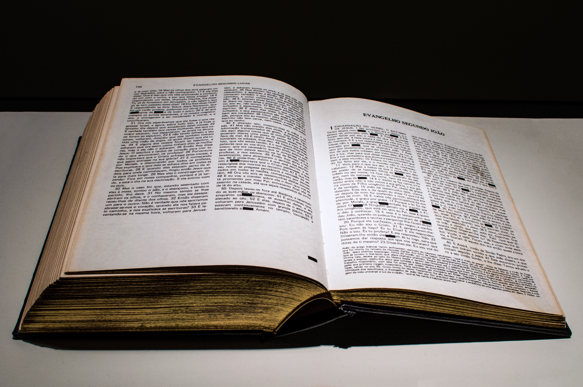 Detalhe da página de Bíblia com palavra “Deus” removida na obra Verbo de Felippe Moraes.