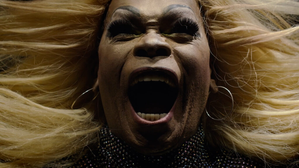 Panthera Lemniscata de Felippe Moraes, obra baseada na forma matemática da lemniscata que evoca o símbolo do infinito.