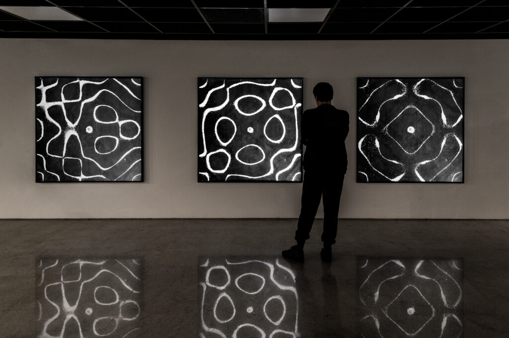 Desenho Sonoro de Felippe Moraes com padrões formados por vibração acústica em superfície