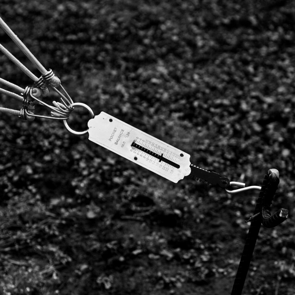 Fotografia de Felippe Moraes mostrando uma árvore levemente inclinada com peso de 16 kg aplicado.